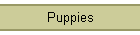 Puppies.htm